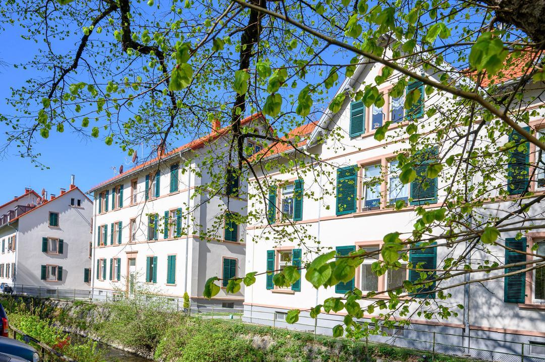 Bilder Loudin Immobilien | Immobilienmakler Freiburg