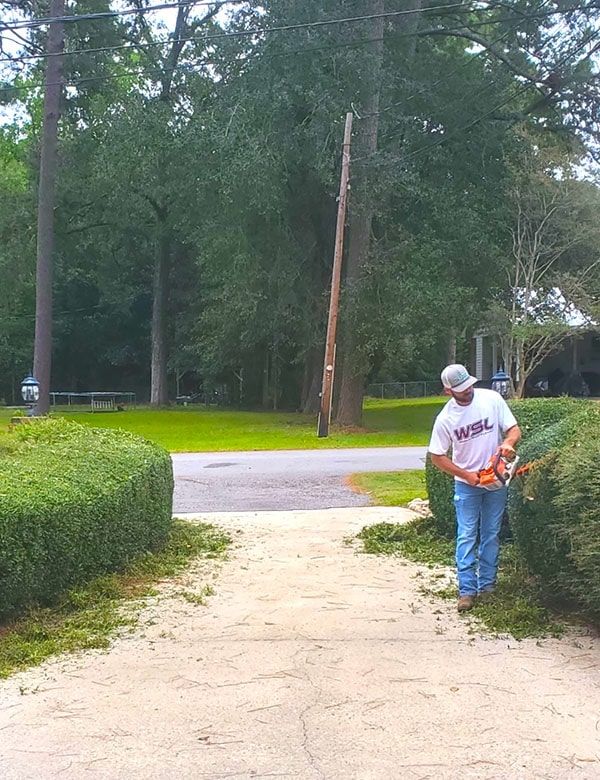 Topnotch Landscaping Services