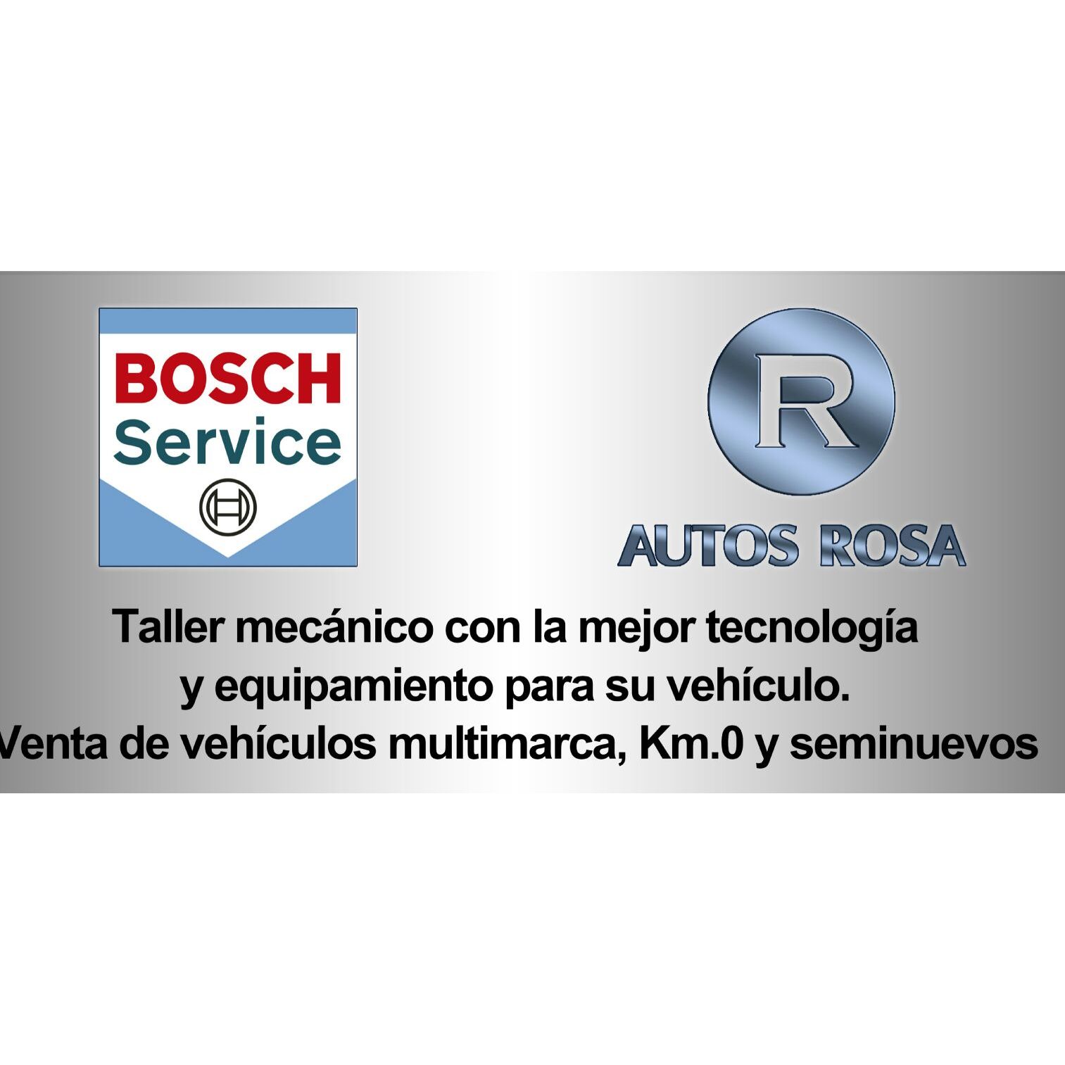 Automecanica Rosa Car Mechanic In Linares Address Schedule