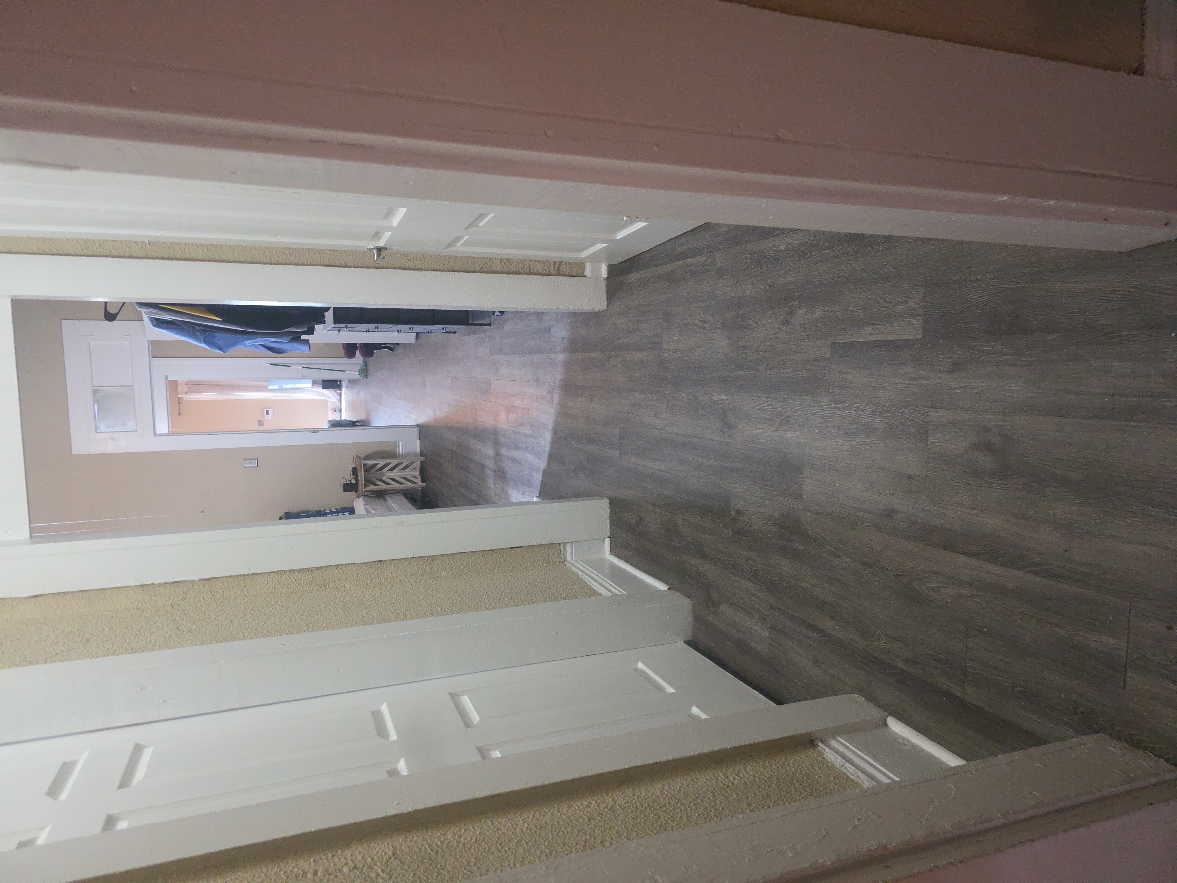 Francy Cleaning Services Logo