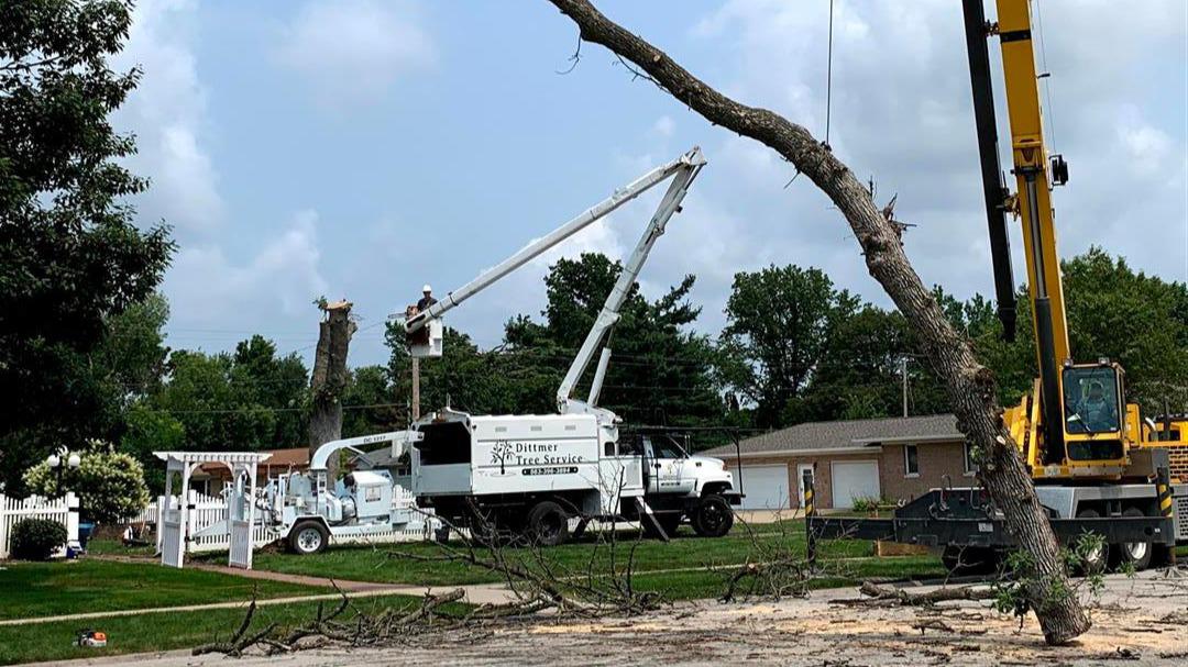 Dittmer Tree Service offers a comprehensive range of tree services to meet all your tree care needs. From pruning and trimming to planting and removal, our team is dedicated to providing top-quality services tailored to your specific requirements. With our commitment to customer satisfaction and years of experience in the industry, you can trust us to deliver exceptional results for your trees.