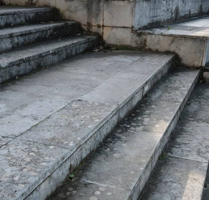 Professional Pavement Services Image