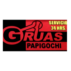 Grúas Papigochi Logo