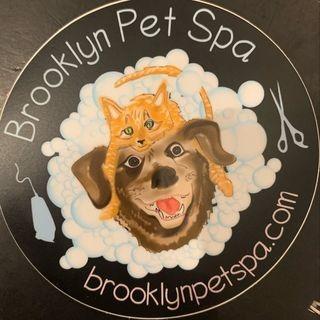 🥇 Brooklyn Pet Spa - Dog Grooming Near Me, Bathing, Boarding, Cat & Gog Grooming Rates | Zip 11215
