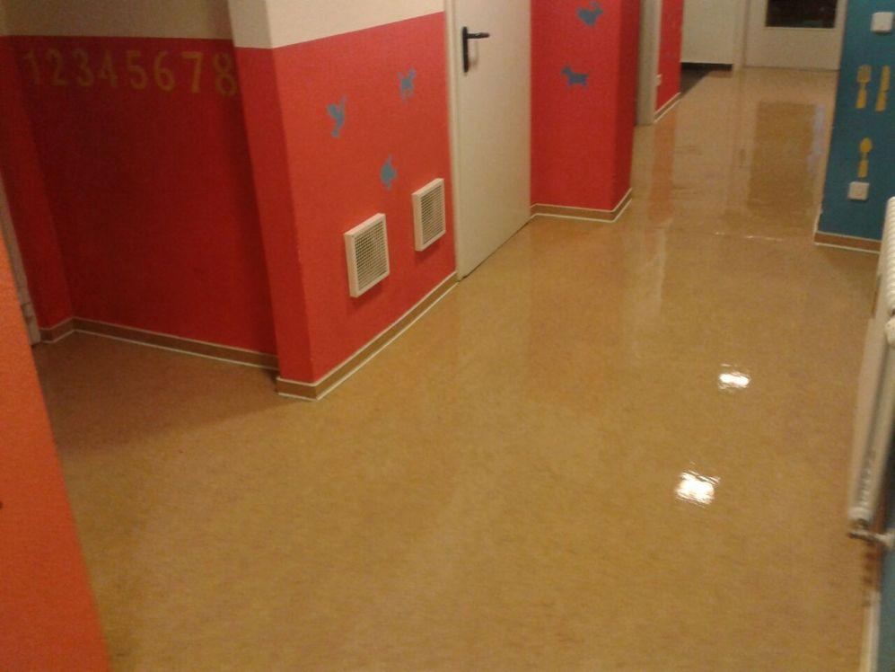 Reinigungs-Service Oldenburg DIE FENSTERPUTZER, Alexander-Giertz Straße 53 in Petershagen