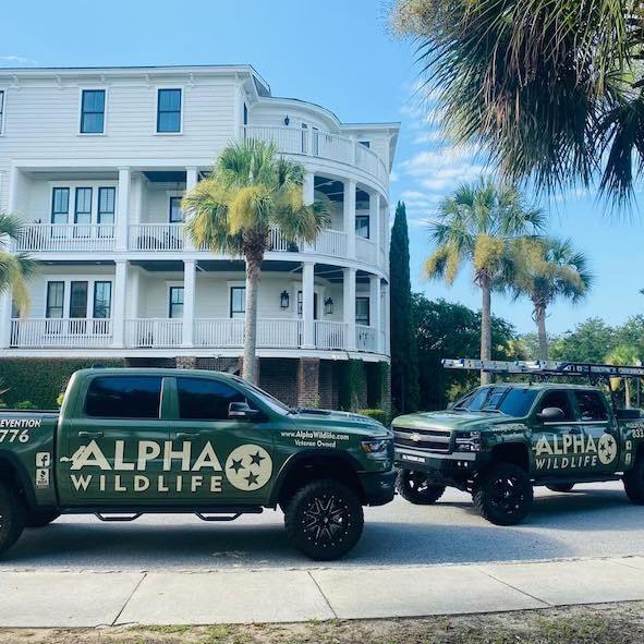 Alpha Wildlife Charleston Logo