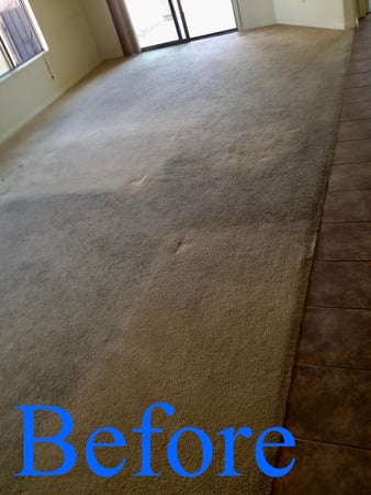 Images Real Clean Carpet & Upholstery Cleaning