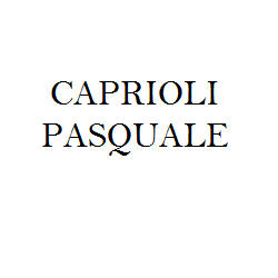 Logo Dott. Pasquale Caprioli Trieste 040 760 0069