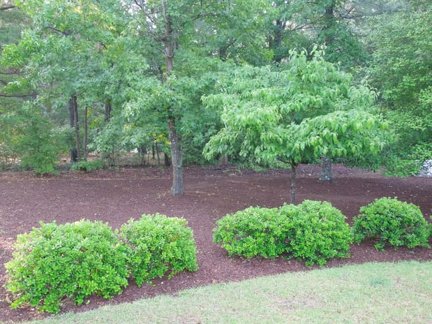 Images Triangle Landscape Supplies, Raleigh