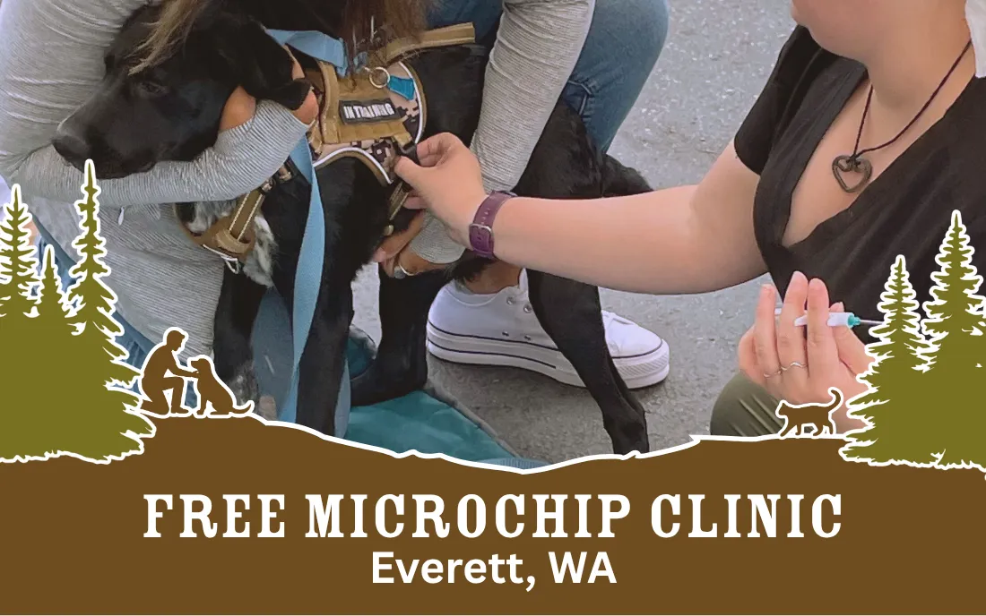 Image of Local Pet Event FREE Microchip Clinic | Everett WA Nearby