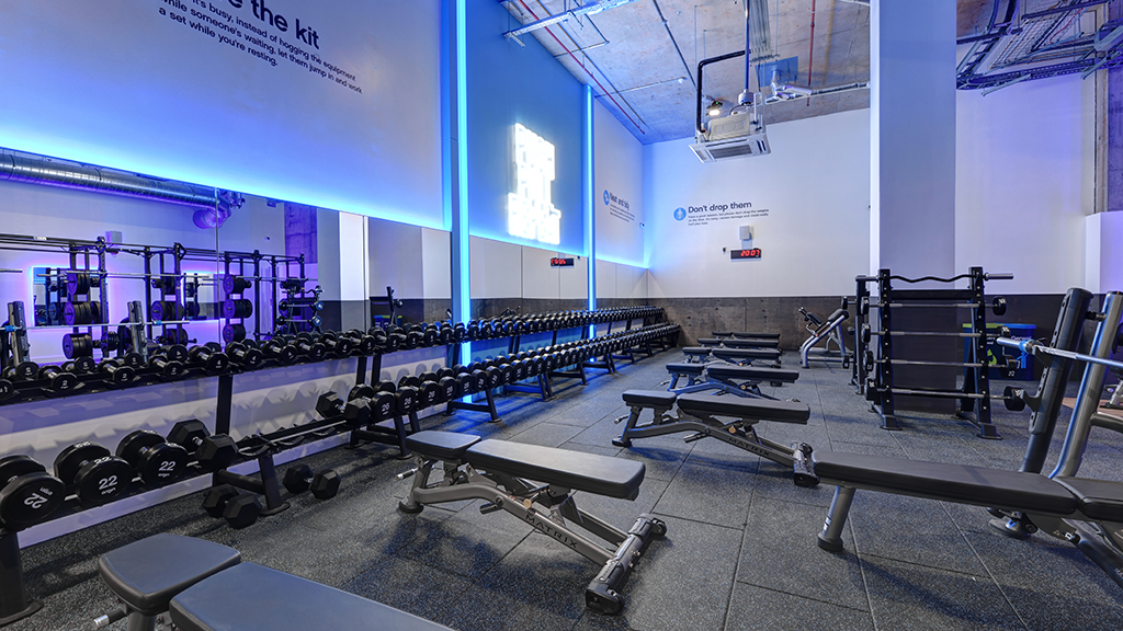 Free Weights Area
