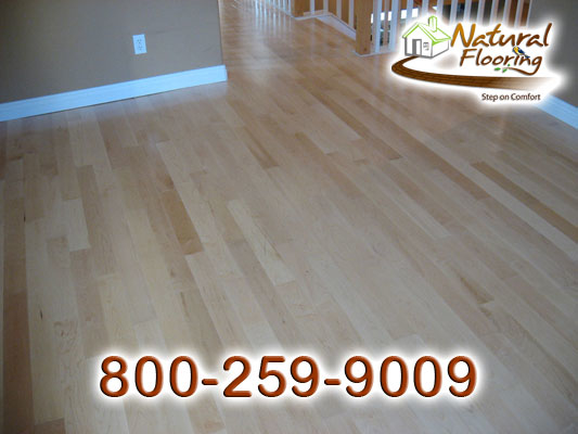 Maple Natural Smooth Wood Floor