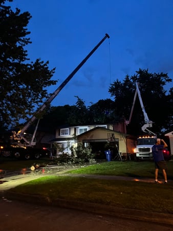 Images Spears Tree Experts Inc.