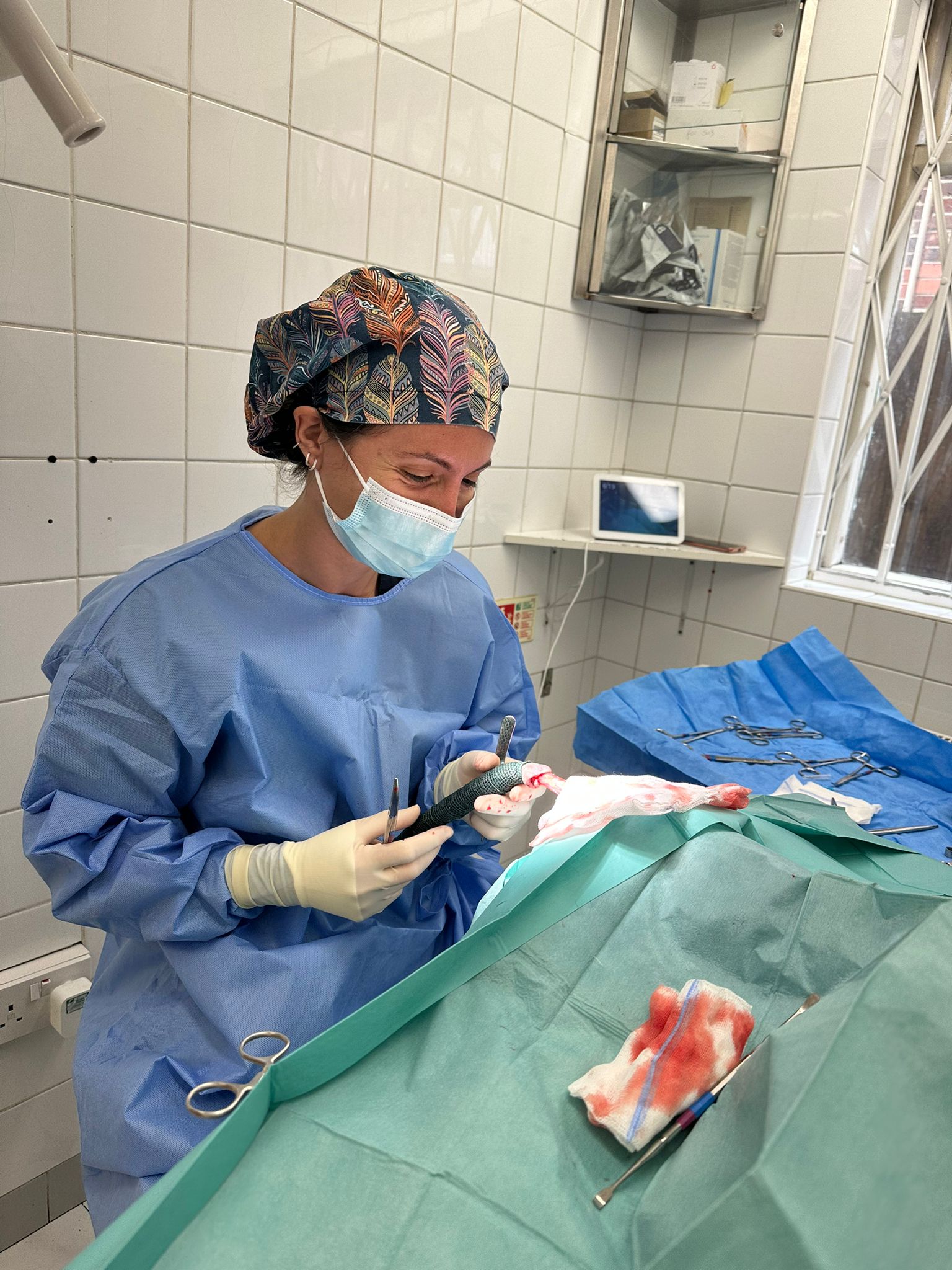 Images Streatham Hill Veterinary Surgery