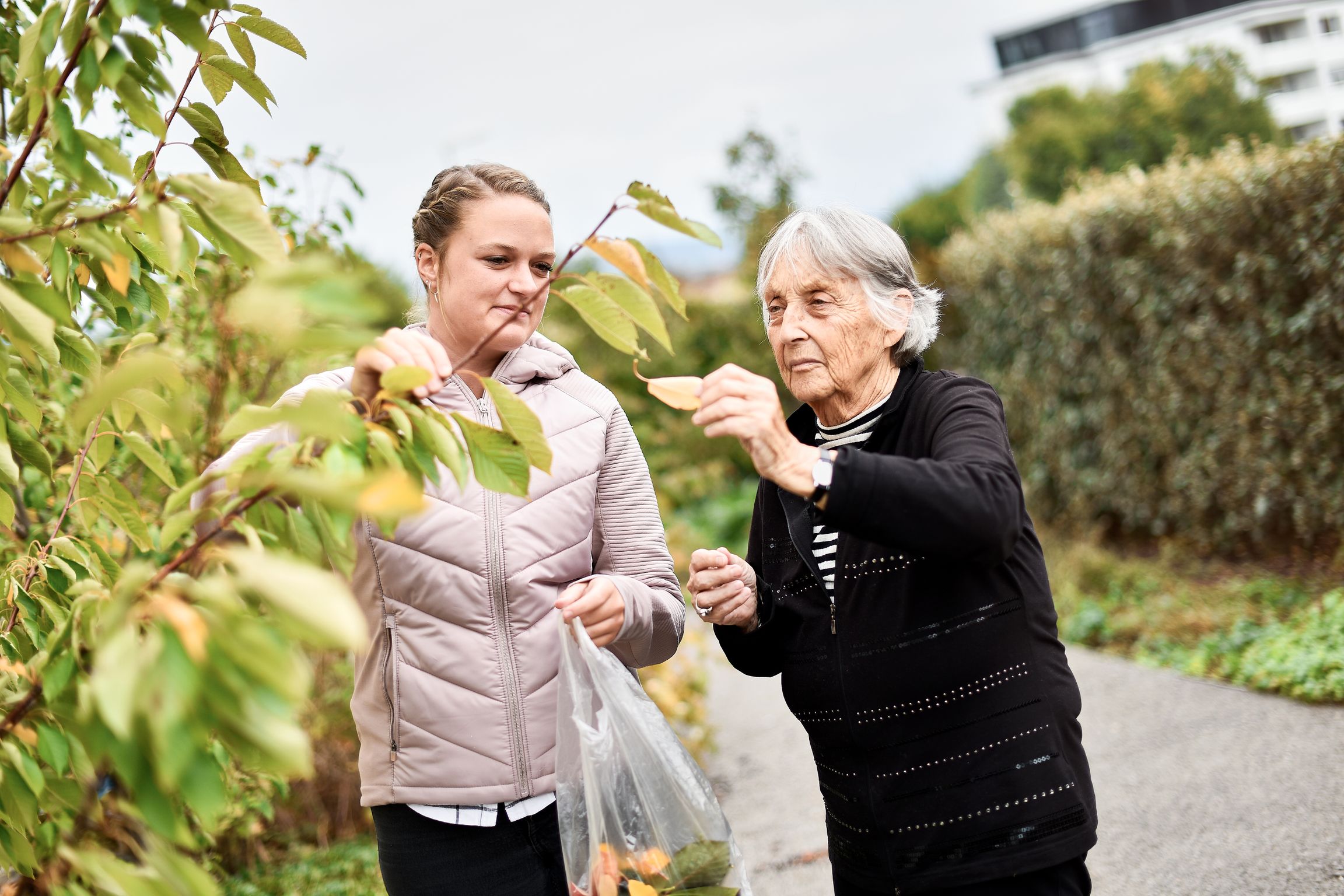 Bilder Serata Tagaktiv