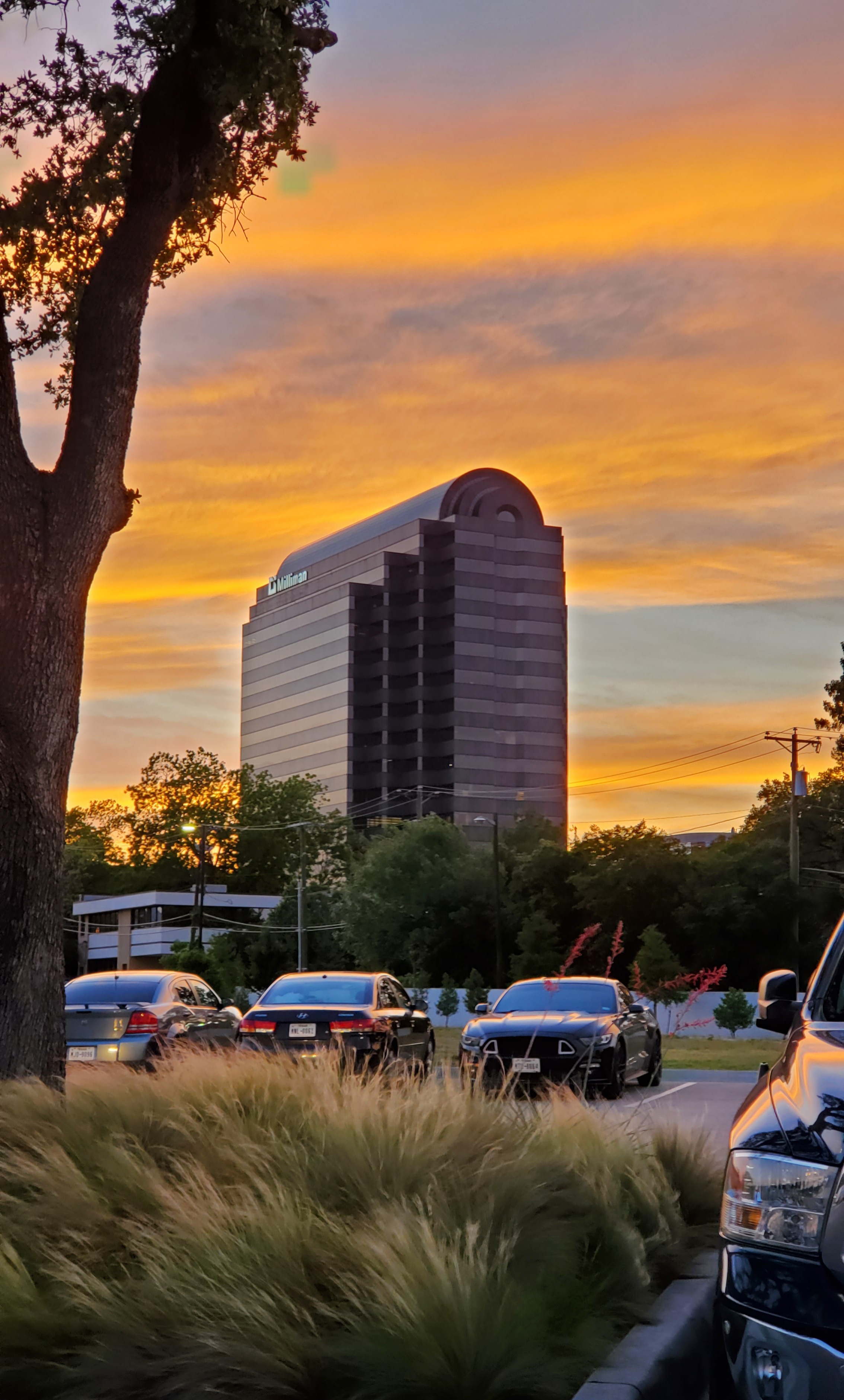 Best IT Company with the Best sunset!