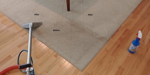 Images DJ Burris Quality Carpet Cleaning