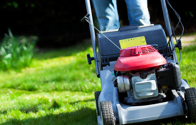 Gebäudereinigung Golla, Neustädter Straße 2 in Neustadt