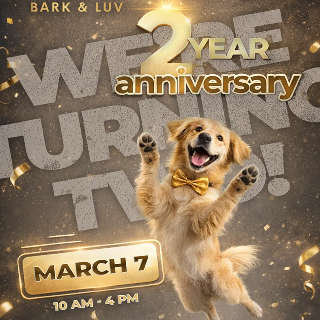 Image of Local Pet Event Bark & Luv 2nd Anniversary Celebration 🎉🐾 Nearby