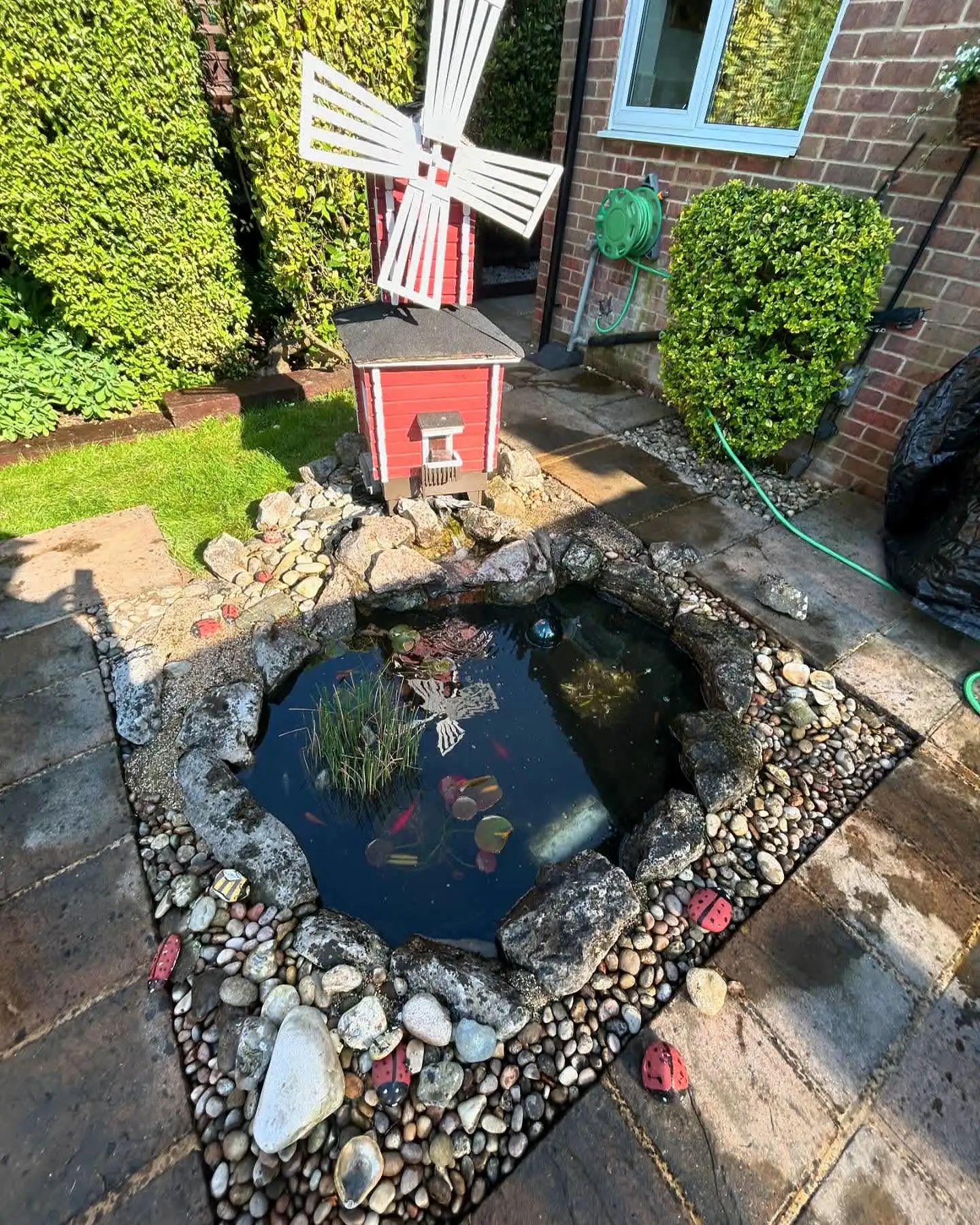 Images SJH Ponds & Aquariums