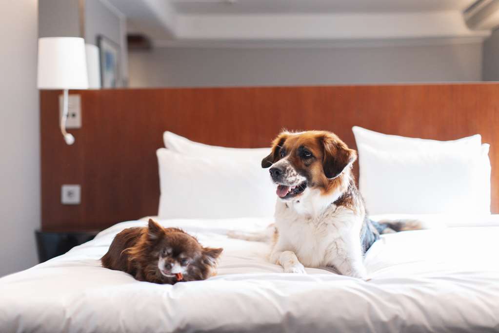 Images Radisson Blu Arlandia Hotel, Stockholm-Arlanda