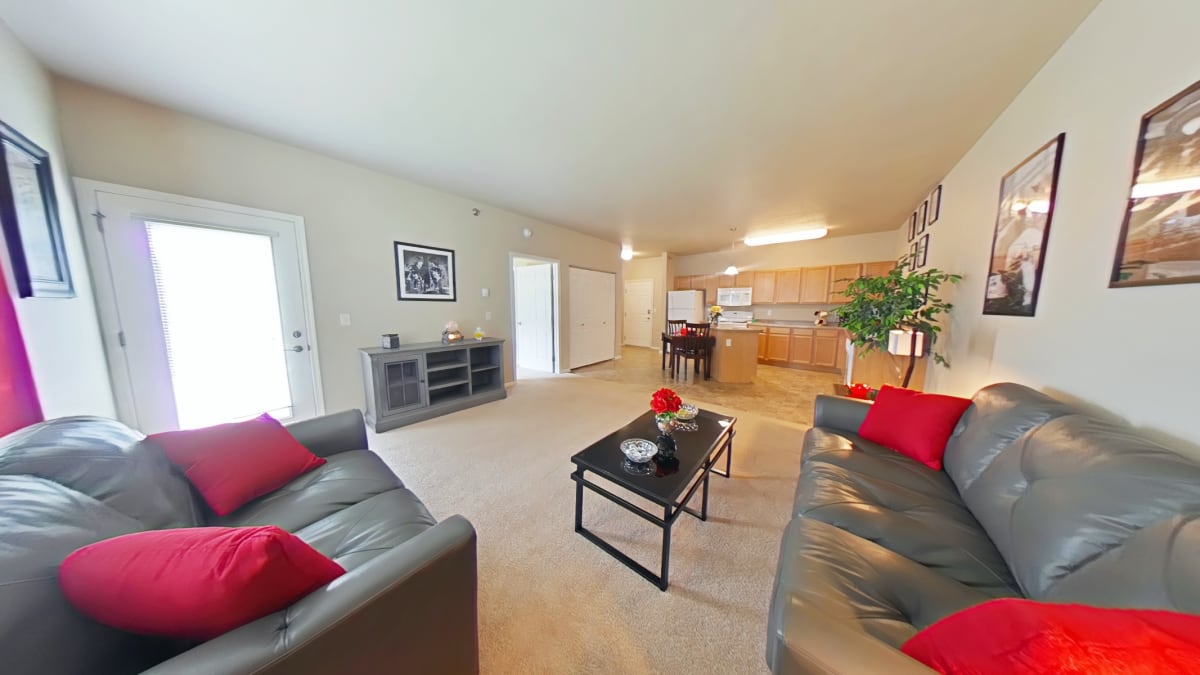 Living Room and Kitchen Space