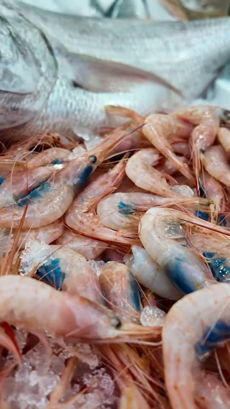 Images Ristopescheria Bezziccheri