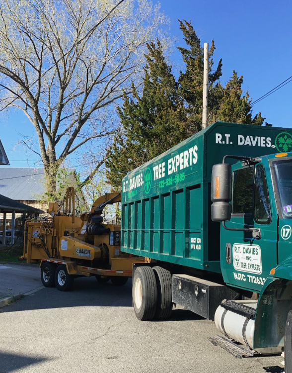 Images R.T. Davies Inc. Tree Experts