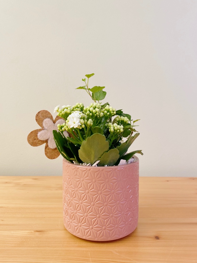 Images Bancells Floristes