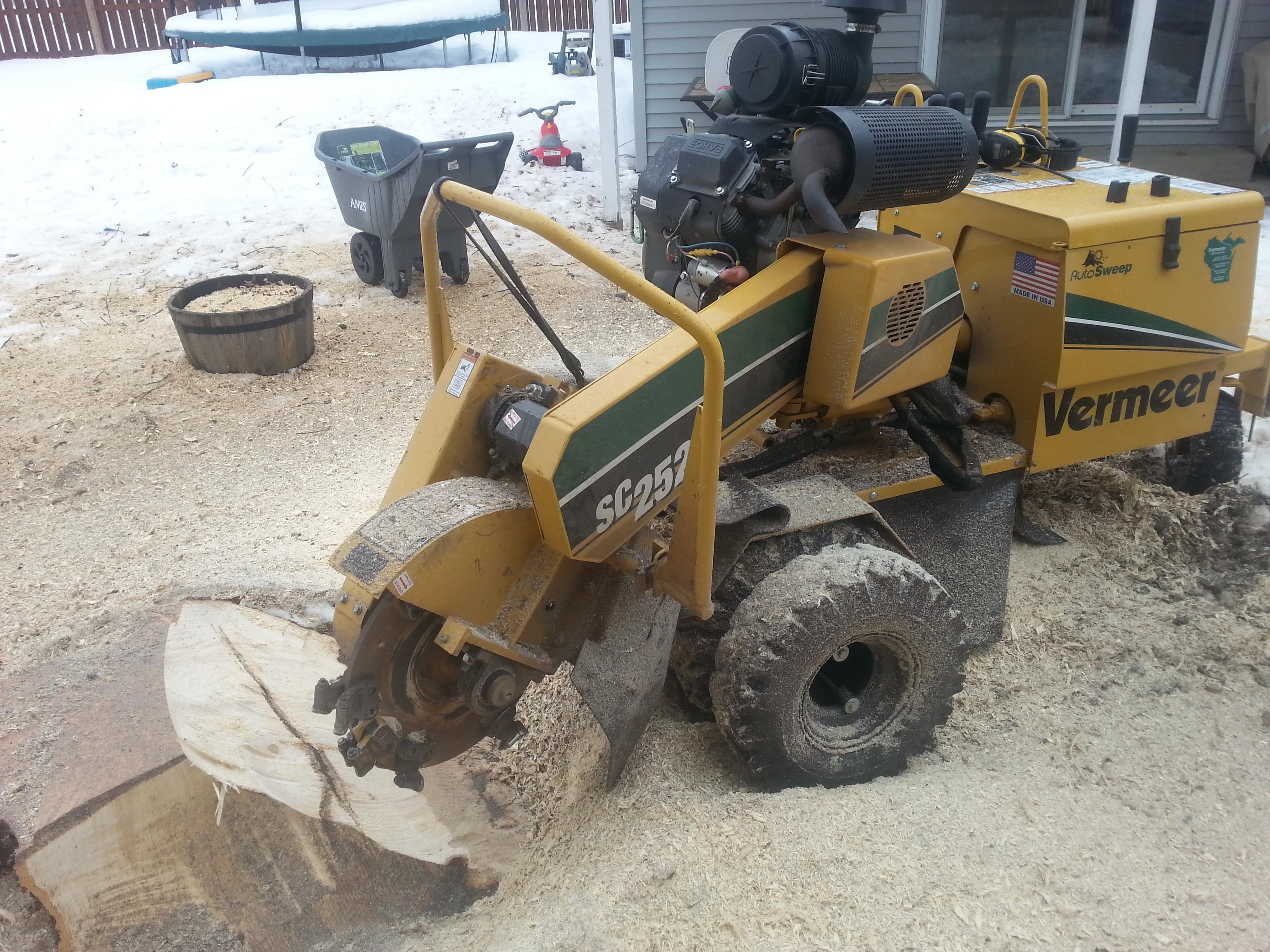 Consciously Fresh Tree Service