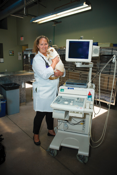 Images VCA Dakota Ridge Animal Hospital