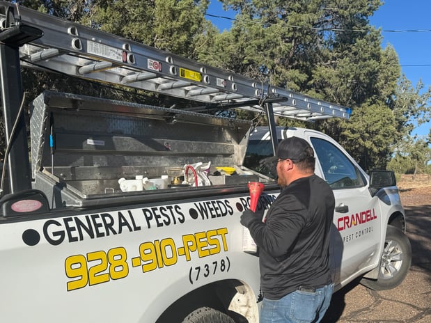 Images Crandell Pest Control