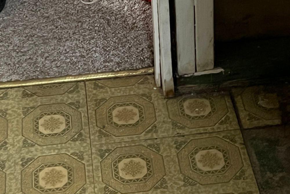 Pictured here is black mold growing under the green linoleum flooring and subflooring.