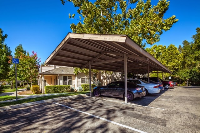 Felipe's citrus heights coupons