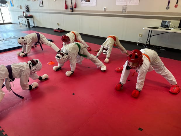 Images Jaguar Dojo