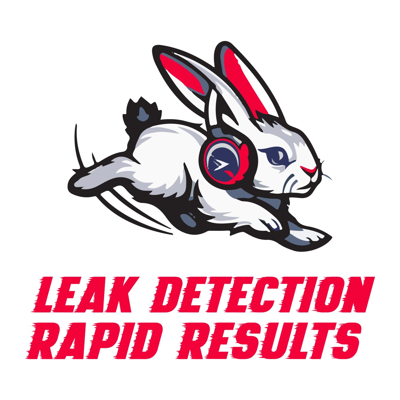 Leak Detection Rapid Results - Bella Vista, AR - (479)235-4400 | ShowMeLocal.com