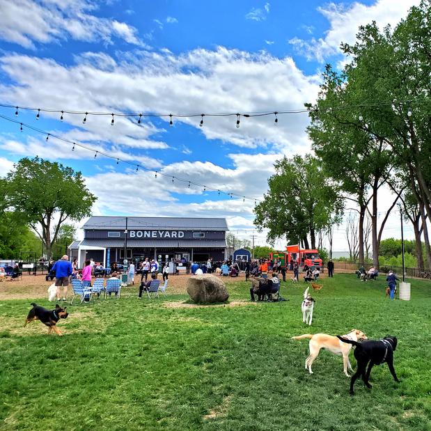 Images The Boneyard Dog Park and Sports Bar