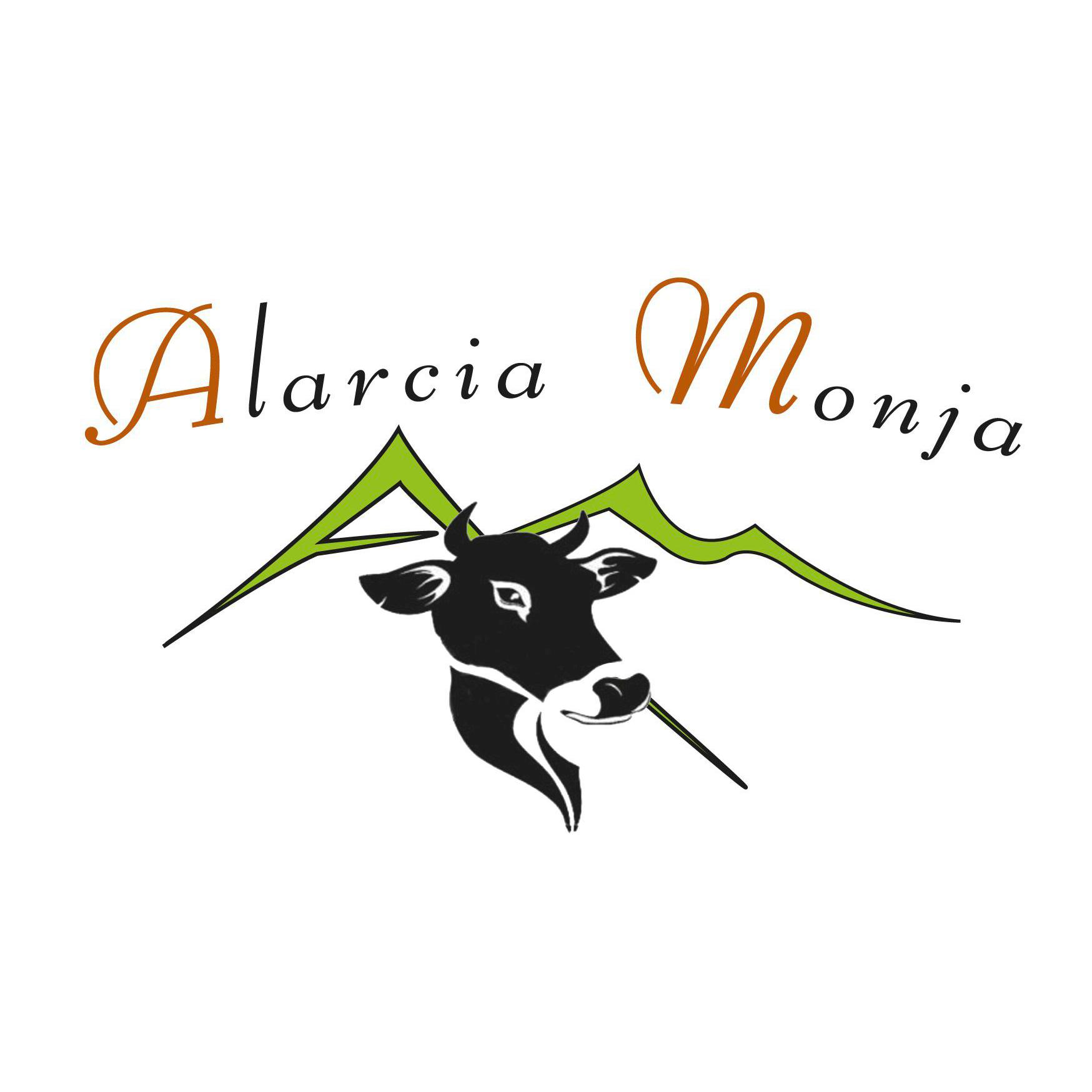 Carnicería Alarcia Monja Burgos