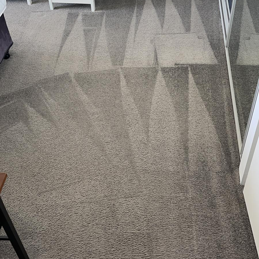 Images Eco Carpet Cleaning Gold Coast