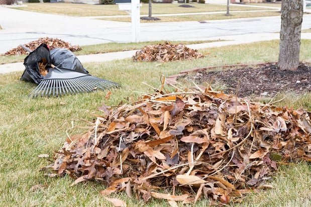 Images Simply Sod & Landscaping