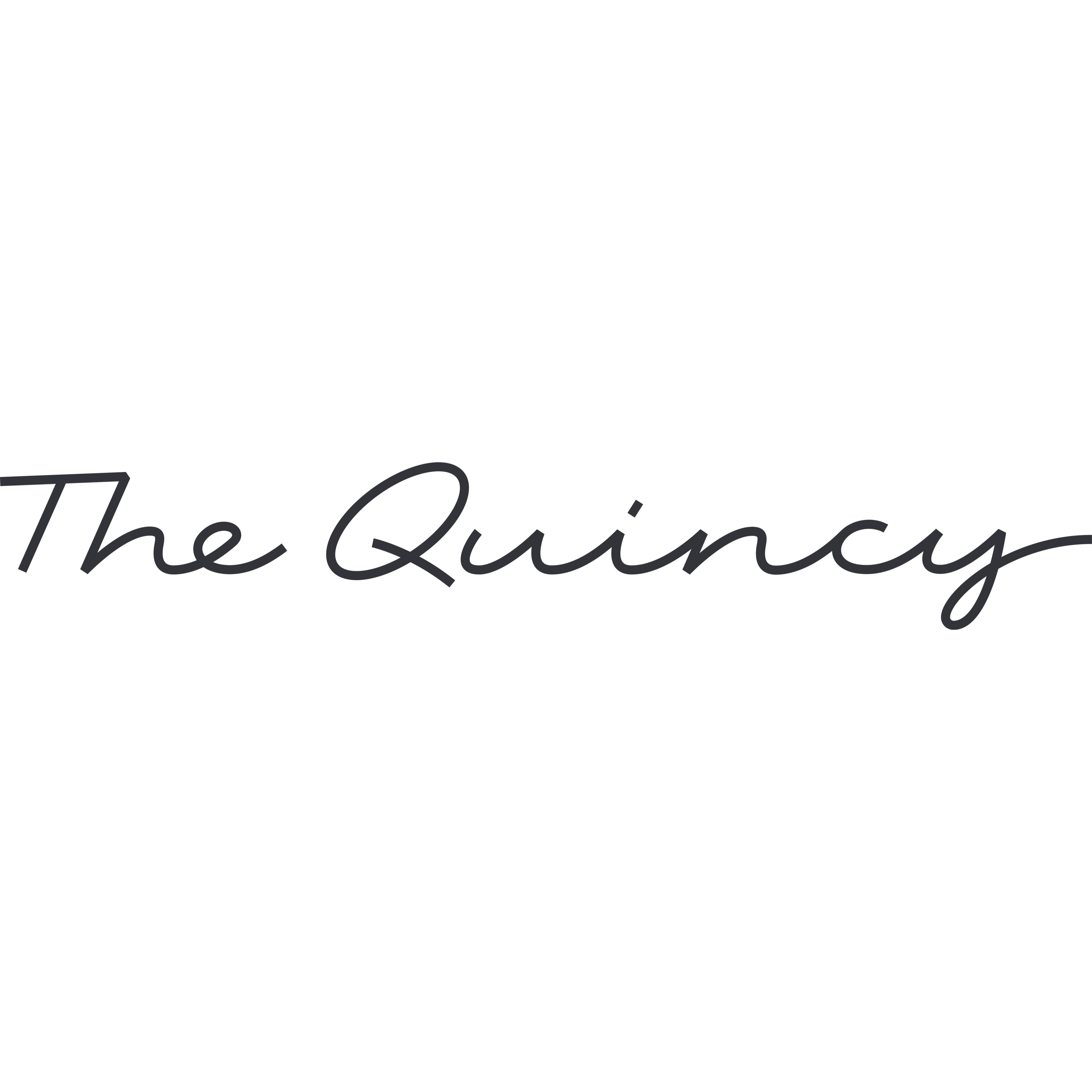 The Quincy