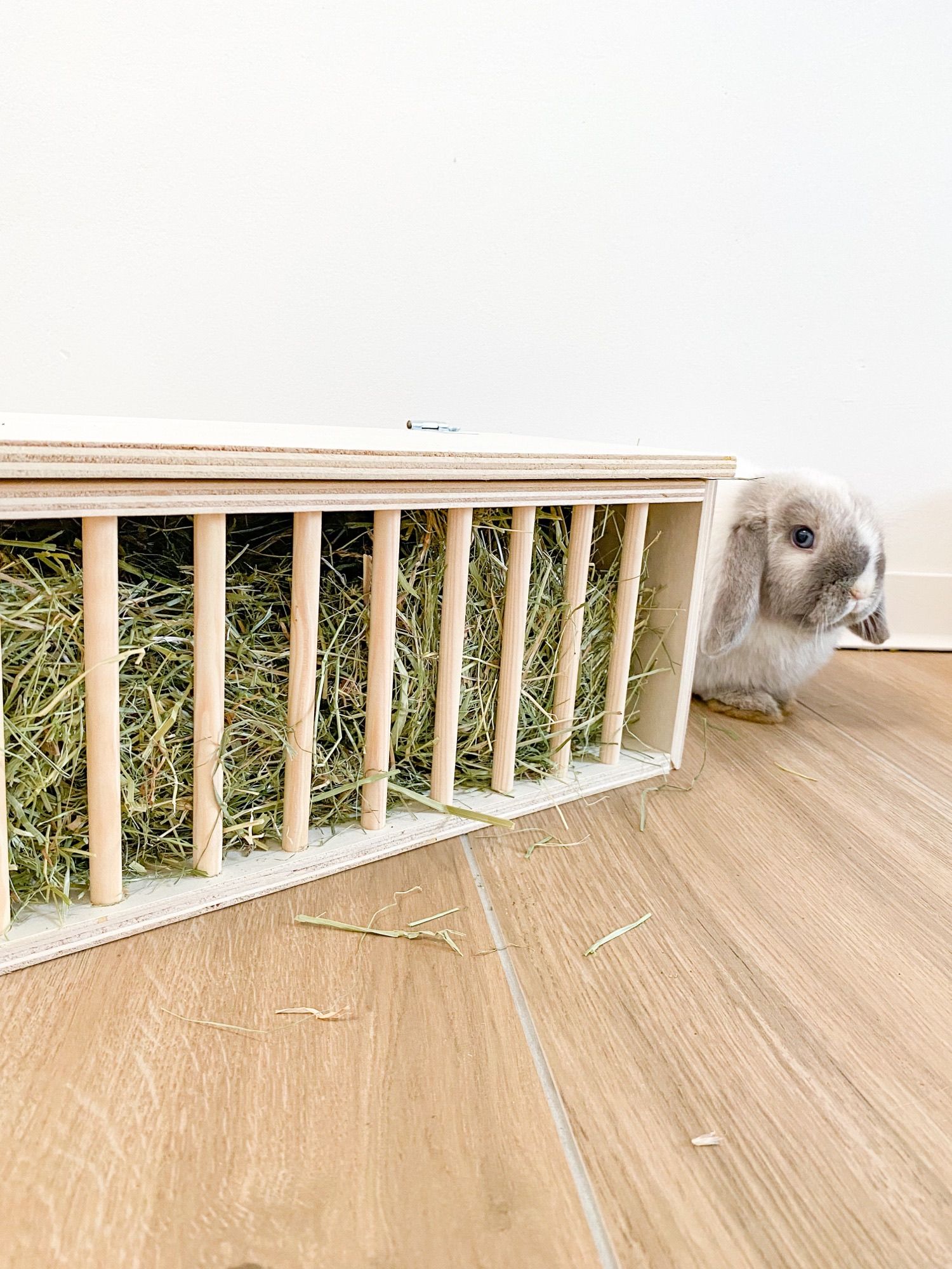 Wood-Kleintiermöbel by Julian Rumpel in Poppenhausen