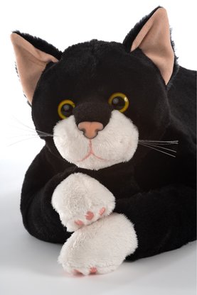 Altera Vita GmbH & Co. KG, In der Unteren Rombach 12 in Heidelberg