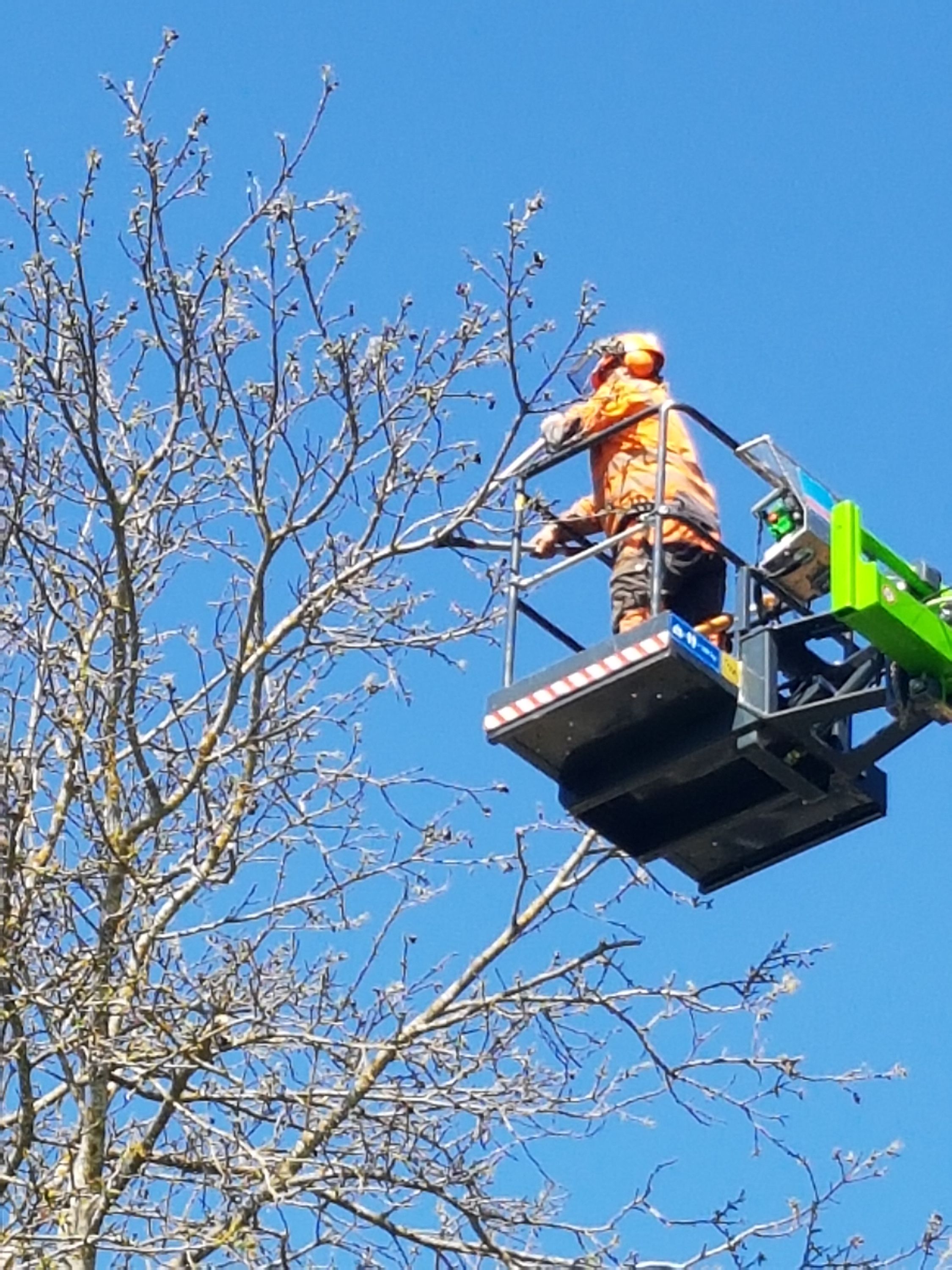 Landschaftspflege Mayer GmbH, Hillecker Straße in Chieming