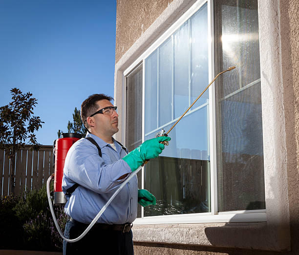 Images Paffy's Pest Control