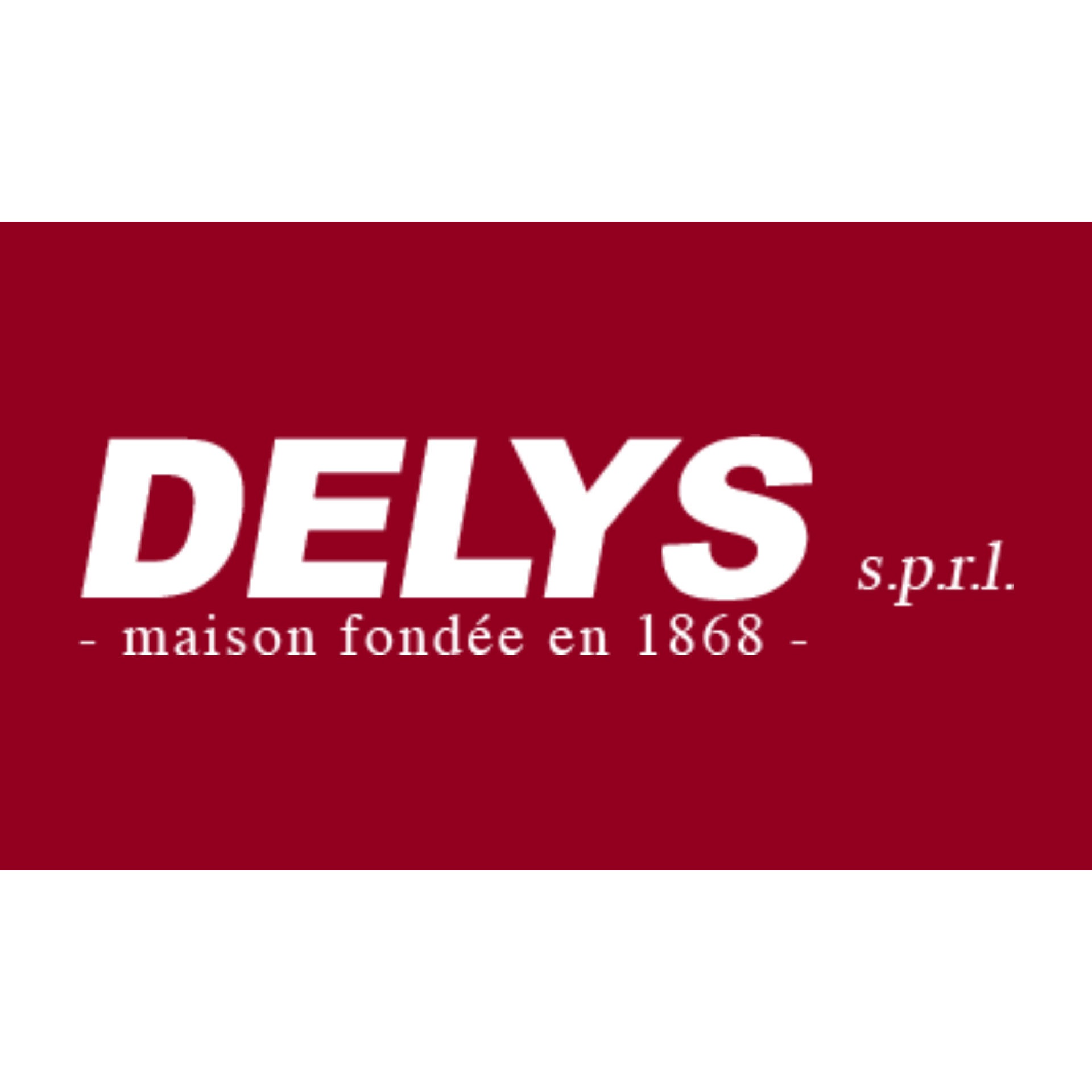 Delys s.p.r.l. Logo
