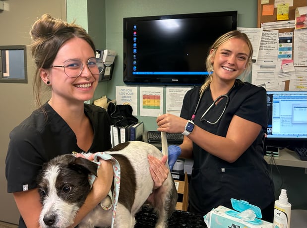 Images Adobe Animal Hospital