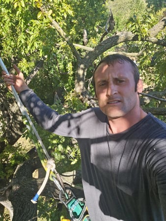 Images Busy Boy Tree Services