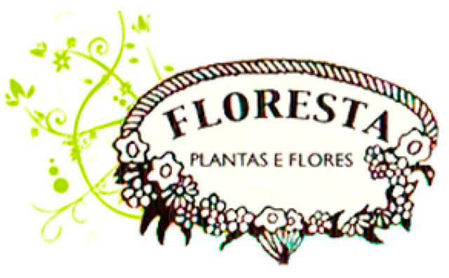 Images Floristería Floresta