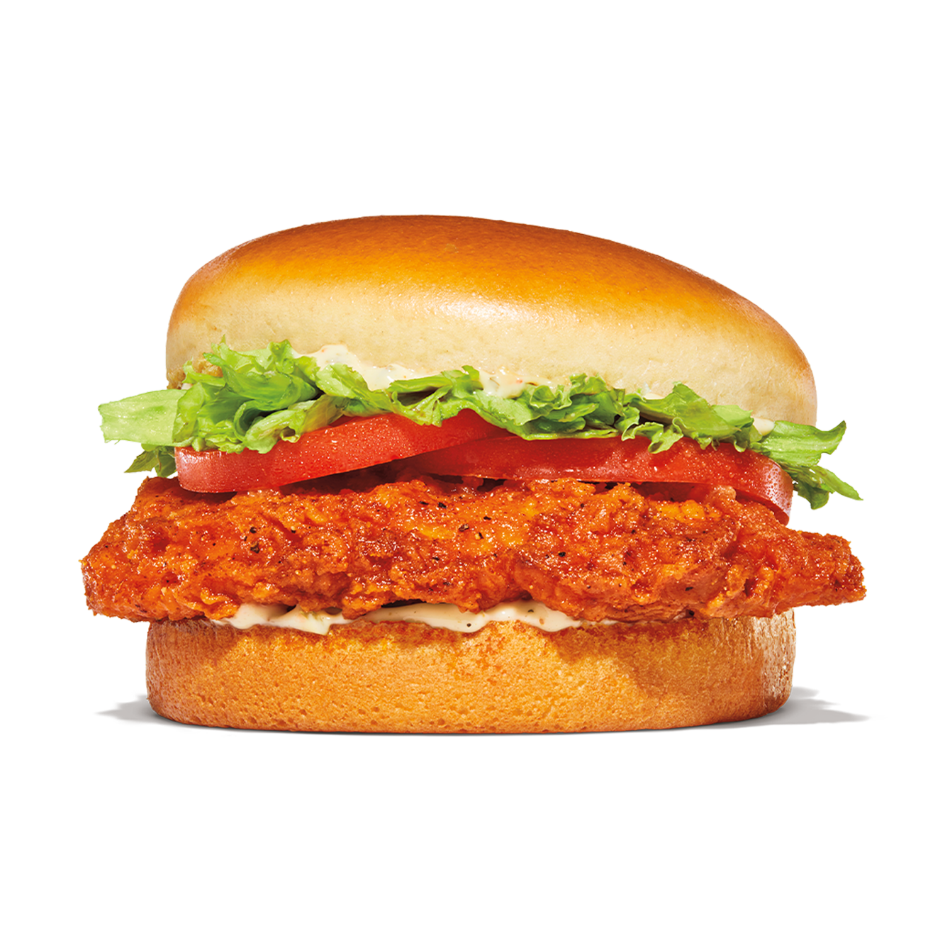 burger-king-in-houston-tx-77004-713-6